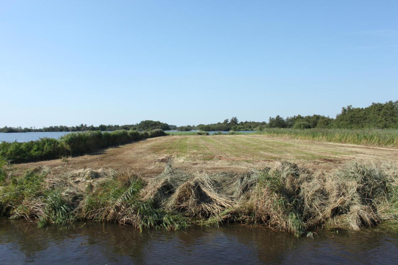 Gastenverblijf Villa Buitenplaats Wergea Contactloos Inchecken Naarderburen Exterior foto